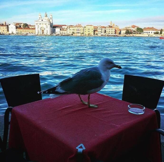 Ca' Milla Venedig